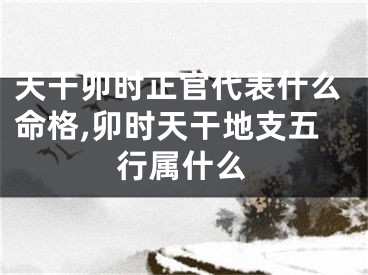 天干卯时正官代表什么命格,卯时天干地支五行属什么