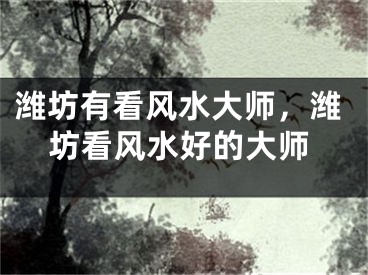 潍坊有看风水大师，潍坊看风水好的大师