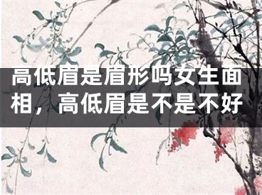高低眉是眉形吗女生面相,高低眉是不是不好