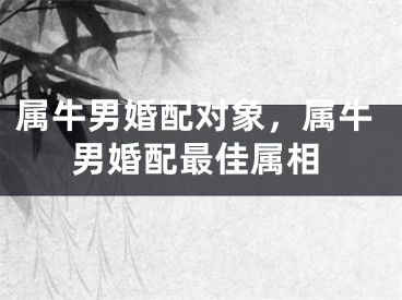 属牛男婚配对象，属牛男婚配最佳属相