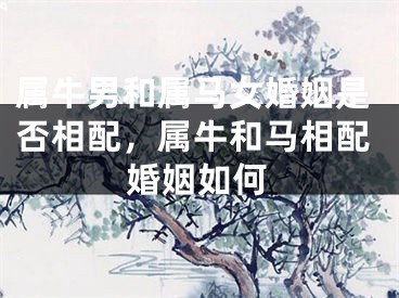 属牛男和属马女婚姻是否相配，属牛和马相配婚姻如何
