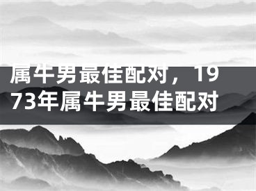 属牛男最佳配对,1973年属牛男最佳配对