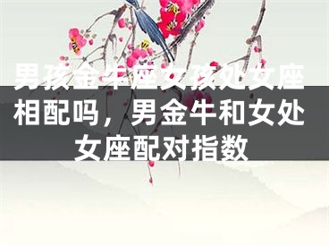 男孩金牛座女孩处女座相配吗，男金牛和女处女座配对指数
