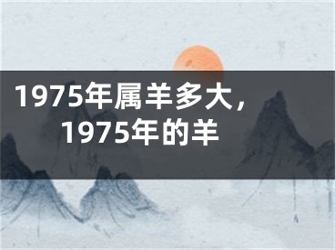 1975年属羊多大，1975年的羊