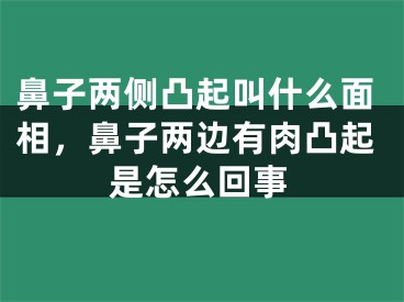 鼻子两侧凸起叫什么面相,鼻子两边有肉凸起是怎么回事