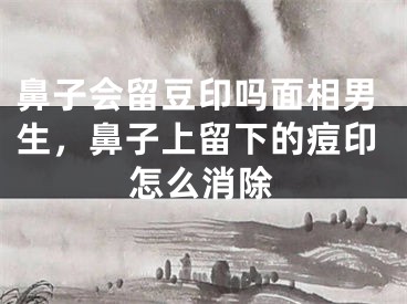 鼻子会留豆印吗面相男生，鼻子上留下的痘印怎么消除