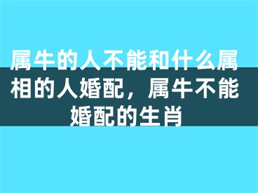 属牛的人不能和什么属相的人婚配，属牛不能婚配的生肖