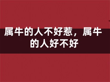 属牛的人不好惹，属牛的人好不好