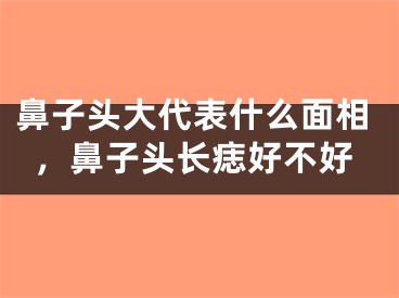 鼻子头大代表什么面相，鼻子头长痣好不好