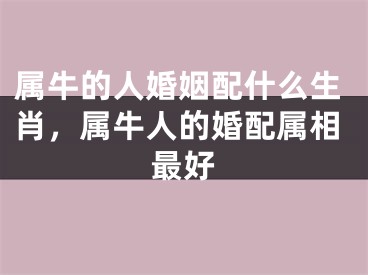 属牛的人婚姻配什么生肖，属牛人的婚配属相最好