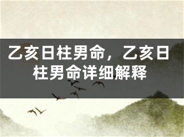 乙亥日柱男命，乙亥日柱男命详细解释