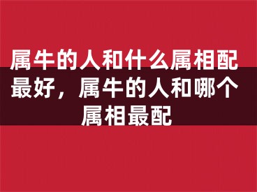 属牛的人和什么属相配最好，属牛的人和哪个属相最配