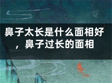鼻子太长是什么面相好，鼻子过长的面相