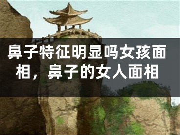 鼻子特征明显吗女孩面相，鼻子的女人面相