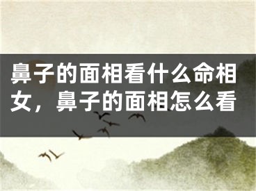 鼻子的面相看什么命相女，鼻子的面相怎么看