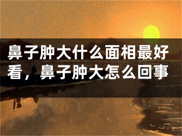 鼻子肿大什么面相最好看，鼻子肿大怎么回事