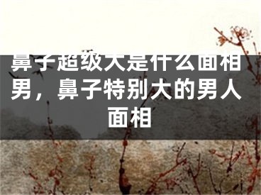 鼻子超级大是什么面相男，鼻子特别大的男人面相