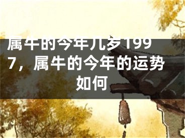 属牛的今年几岁1997，属牛的今年的运势如何