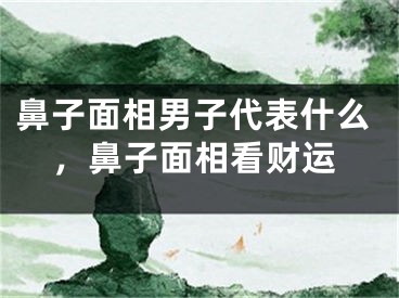 鼻子面相男子代表什么，鼻子面相看财运