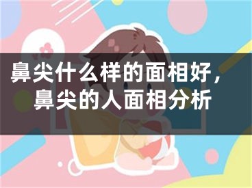 鼻尖什么样的面相好,鼻尖的人面相分析
