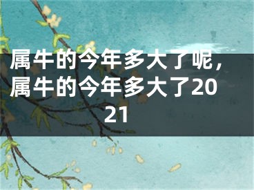 属牛的今年多大了呢，属牛的今年多大了2021