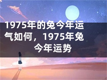 1975年的兔今年运气如何，1975年兔今年运势