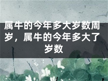 属牛的今年多大岁数周岁，属牛的今年多大了岁数