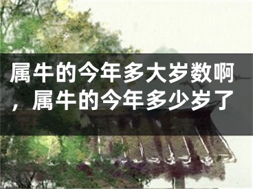 属牛的今年多大岁数啊，属牛的今年多少岁了