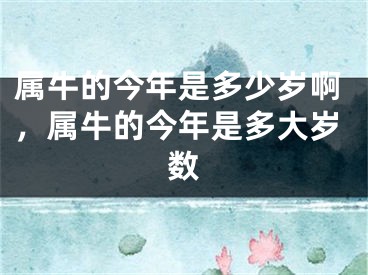 属牛的今年是多少岁啊，属牛的今年是多大岁数