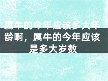 属牛的今年应该多大年龄啊，属牛的今年应该是多大岁数