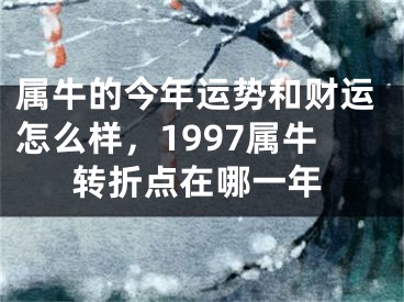 属牛的今年运势和财运怎么样，1997属牛转折点在哪一年