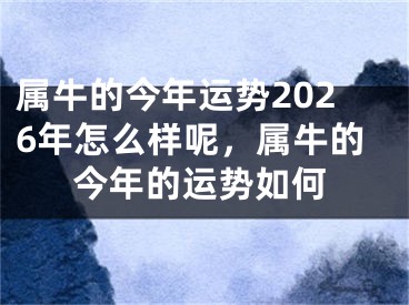 属牛的今年运势2026年怎么样呢，属牛的今年的运势如何