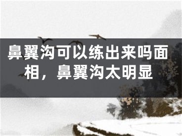 鼻翼沟可以练出来吗面相,鼻翼沟太明显