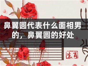 鼻翼圆代表什么面相男的,鼻翼圆的好处