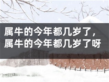 属牛的今年都几岁了，属牛的今年都几岁了呀