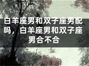白羊座男和双子座男配吗，白羊座男和双子座男合不合