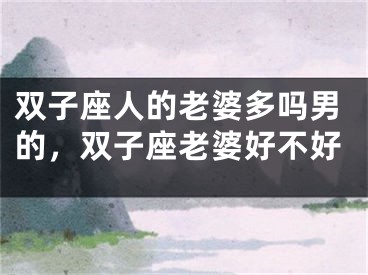 双子座人的老婆多吗男的，双子座老婆好不好
