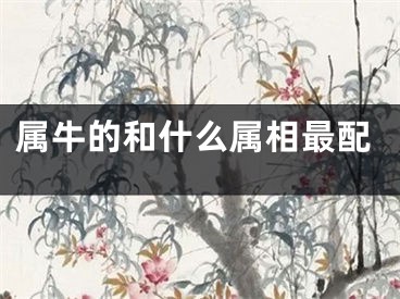 属牛的和什么属相最配