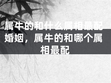 属牛的和什么属相最配婚姻，属牛的和哪个属相最配