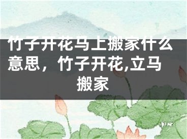 竹子开花马上搬家什么意思，竹子开花,立马搬家