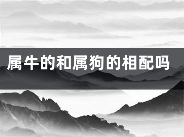属牛的和属狗的相配吗
