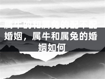 属牛的和属兔的配不配婚姻，属牛和属兔的婚姻如何