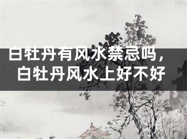 白牡丹有风水禁忌吗,白牡丹风水上好不好
