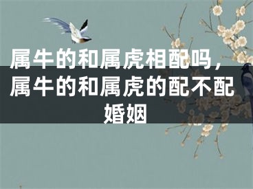 属牛的和属虎相配吗，属牛的和属虎的配不配婚姻
