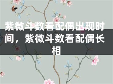 紫微斗数看配偶出现时间，紫微斗数看配偶长相