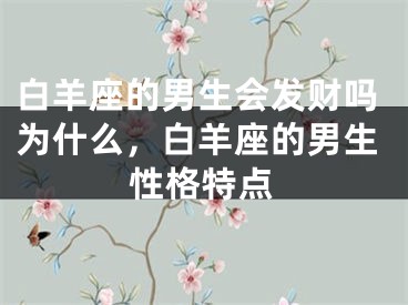 白羊座的男生会发财吗为什么,白羊座的男生性格特点