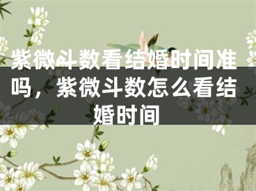 紫微斗数看结婚时间准吗，紫微斗数怎么看结婚时间