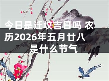今日是迁坟吉日吗 农历2026年五月廿八是什么节气