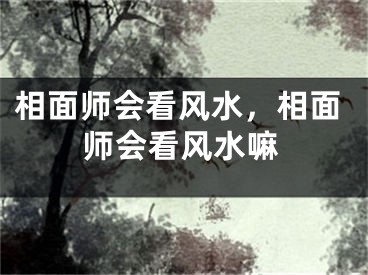 相面师会看风水，相面师会看风水嘛