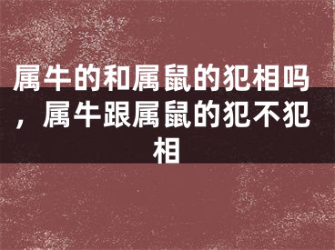 属牛的和属鼠的犯相吗，属牛跟属鼠的犯不犯相